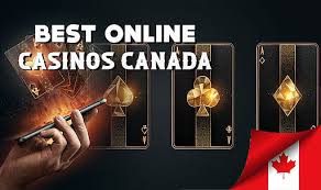 Exploring the Best Canadian Gambling Sites A Comprehensive Guide Exploring the Best Canadian Gambling Sites A Comprehensive Guide